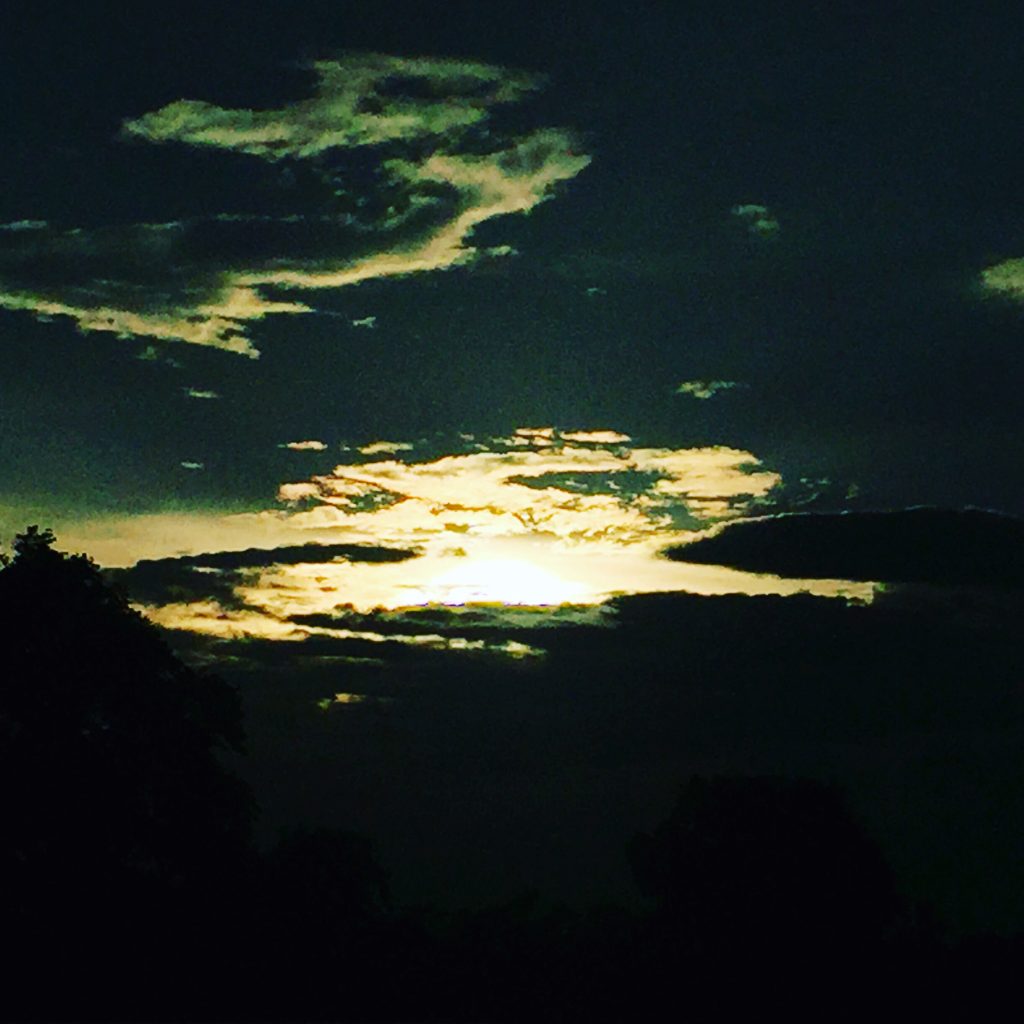 대구의밤에서 원하는 업종과 지역 정보를 찾는 방법