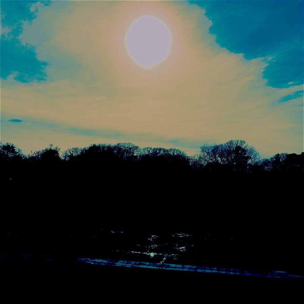 대구의밤이 운영되는 기본 정보 구조와 플랫폼 성격